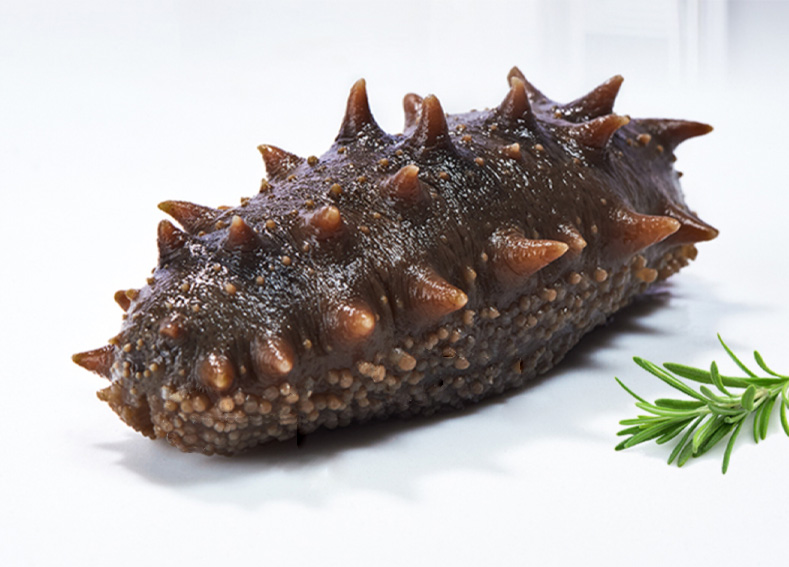 海洋之约鲜食海参